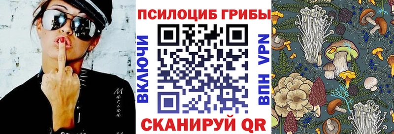 Галлюциногенные грибы MAGIC MUSHROOMS  blacksprut маркетплейс  Кинель  купить наркоту 